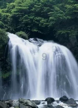 玉米面可以做成哪些减肥食品？游戏画面